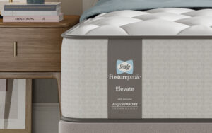 Read more about the article Sealy Posturepedic Elevate Blackwood Mattress Review: Worth the Investment?