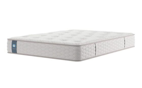 Sealy Tudor Contract Mattress, King Size