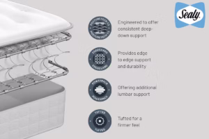 Read more about the article Sealy Ortho Plus Bronze Mattress Review (2026)