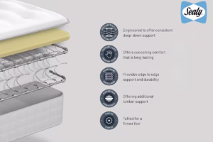 Read more about the article Sealy Ortho Plus Silver Memory Mattress Review (2026)